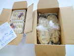 DSC04253.JPG